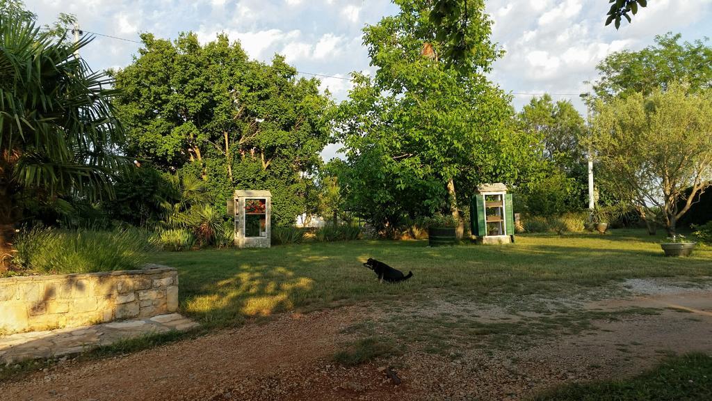 Apartments Davor Umag Chambre photo